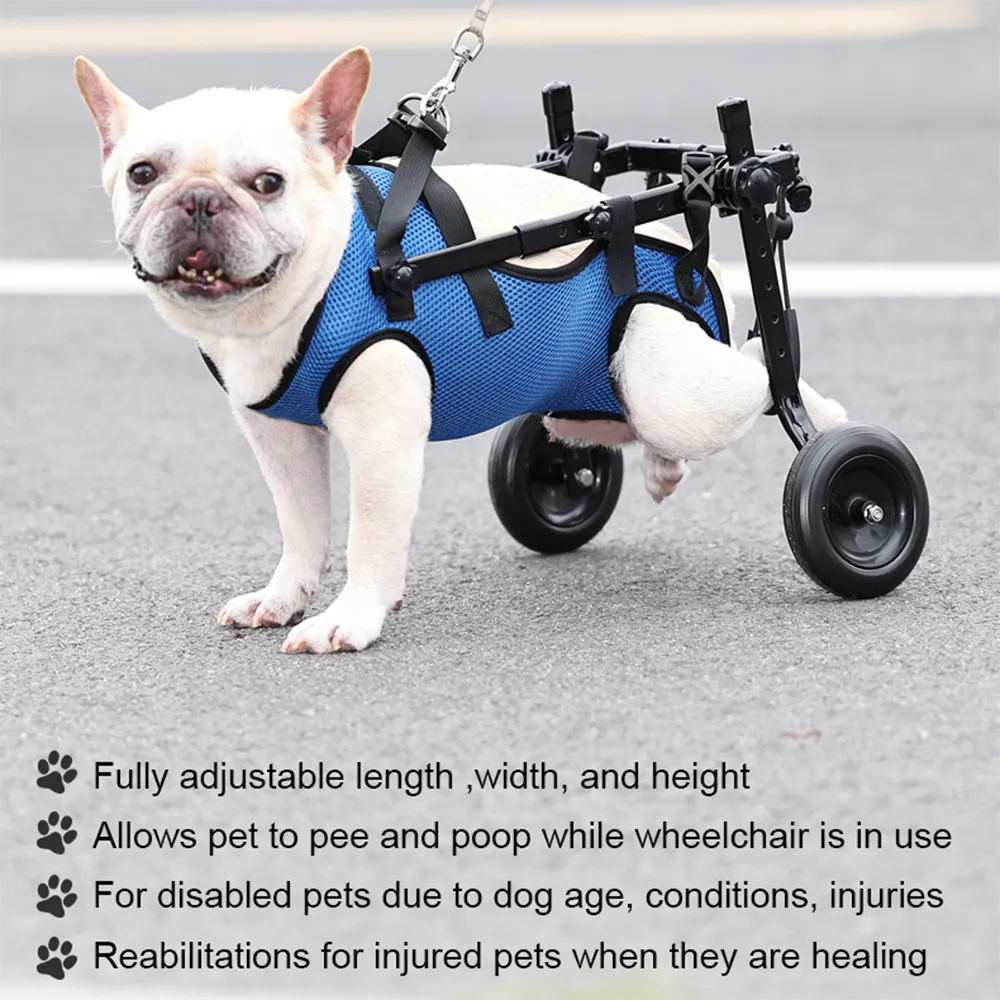 Dog Wheelchair Disability Dog Hind Legs Bracket Cat Dog Injured And Weak Rehabilitation Aid Car Adjustable Pet Walk Booster image 4