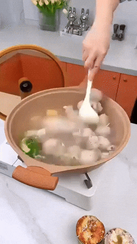 Ultimate Wok Cooker image 8