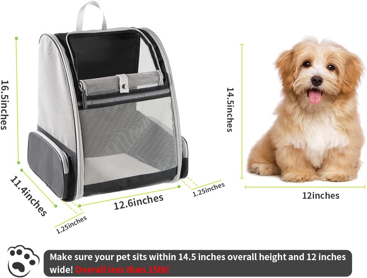 Backpack Carrier Cat image 4