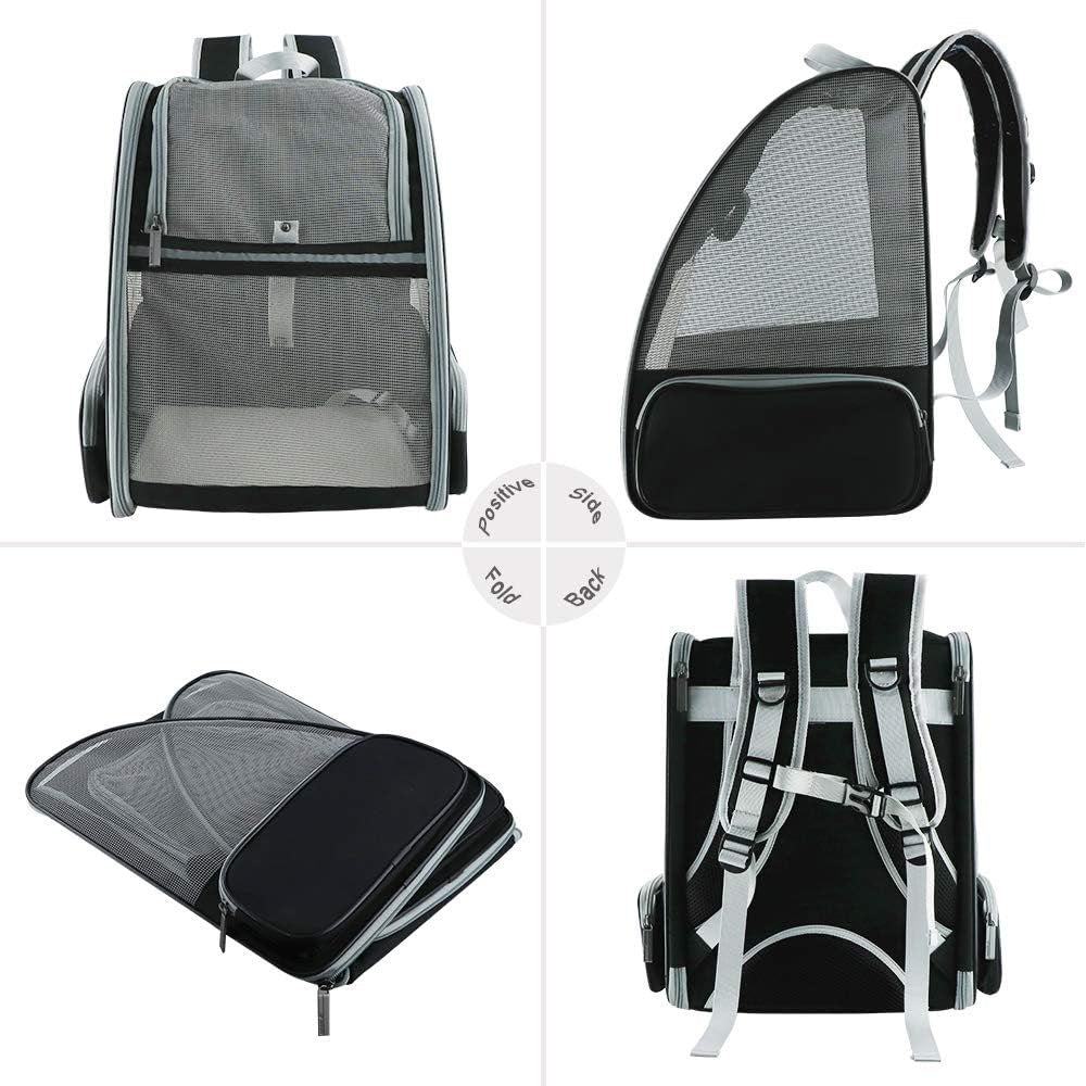 Backpack Carrier Cat image 2
