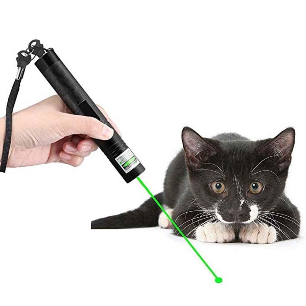 Laser 303 - The High Power Laser Pointer image 1