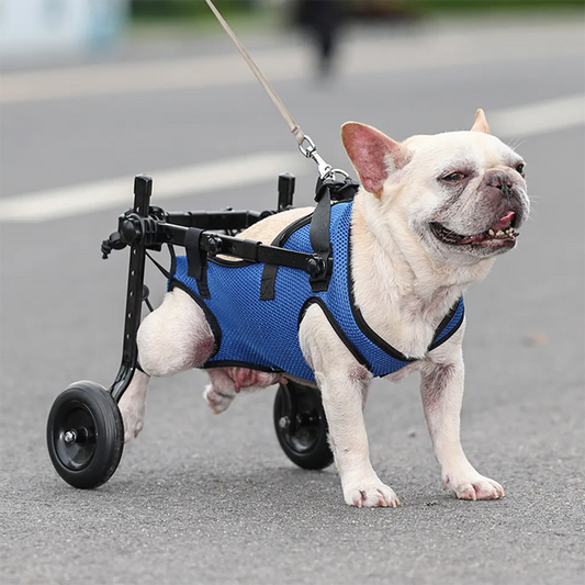 Dog Wheelchair Disability Dog Hind Legs Bracket Cat Dog Injured And Weak Rehabilitation Aid Car Adjustable Pet Walk Booster image 0