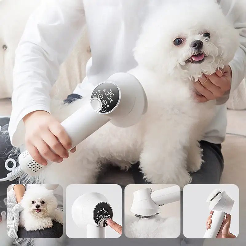 2 in 1 Smart Dog Hair Dryer image 1