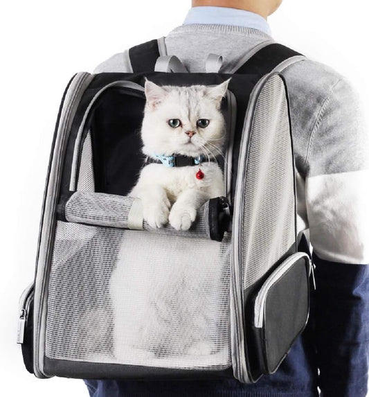 Backpack Carrier Cat image 0