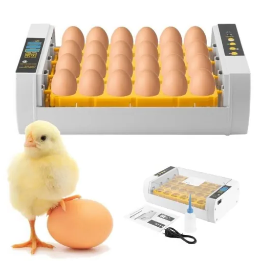 Premium Egg Incubator Automatic Chicken Quail Egg Hatcher 24 Eggs image 6