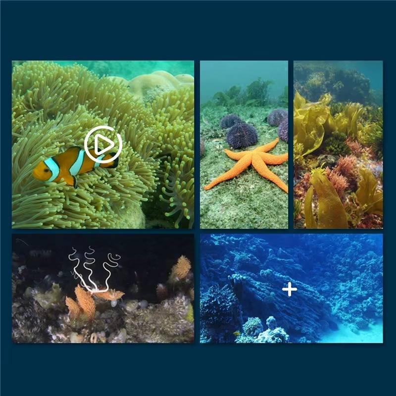 RC Submarine with Camera image 1