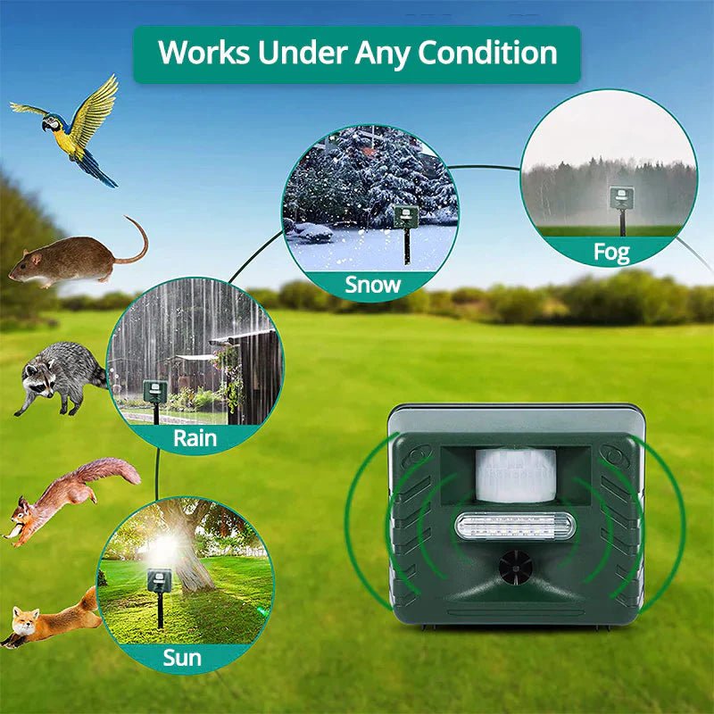 Woodpecker Ultrasonic Repeller image 1