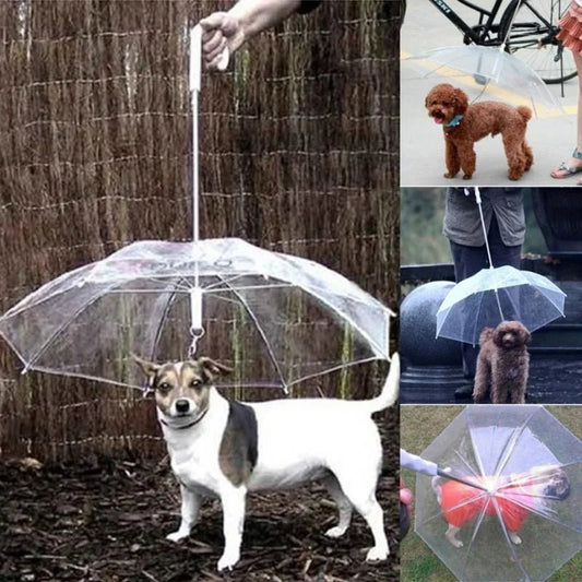Dog Umbrella with Leash image 0
