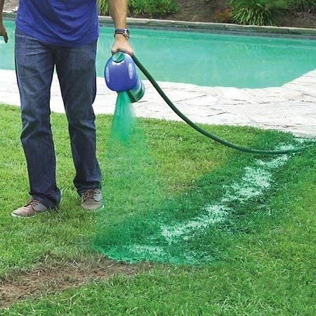 Liquid Lawn Seed Spray - HouseHold Seeding System Liquid Lawn Seed image 4