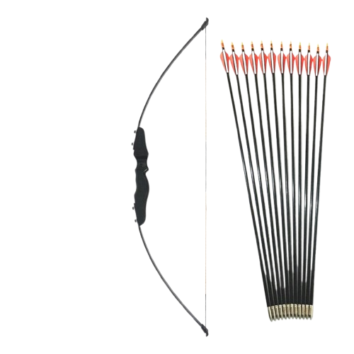 Beginner Bow and Arrows Archery Set - Black image