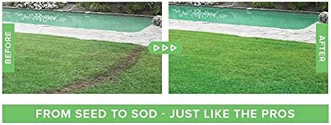 Liquid Lawn Seed Spray - HouseHold Seeding System Liquid Lawn Seed image 2