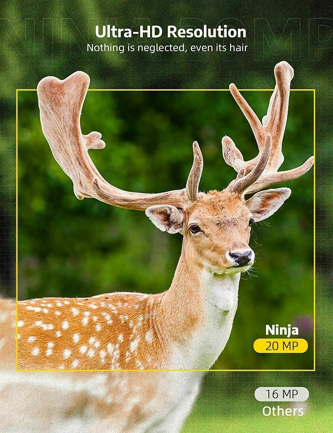 Wireless Hd Wildlife Game Trail Camera With Night Vision image 4