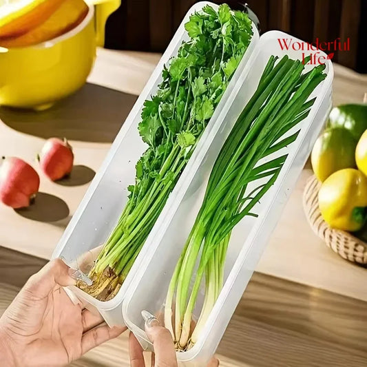 Refrigerator Fresh-Keeping Storage Box – Transparent Food Container