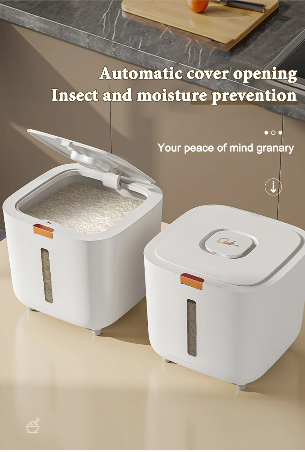 Insect Proof Moisture Proof Rice Box Grain Sealed Jar Kitchen Container 5/10KG Storage Kitchen Container Storage Box with Lid
