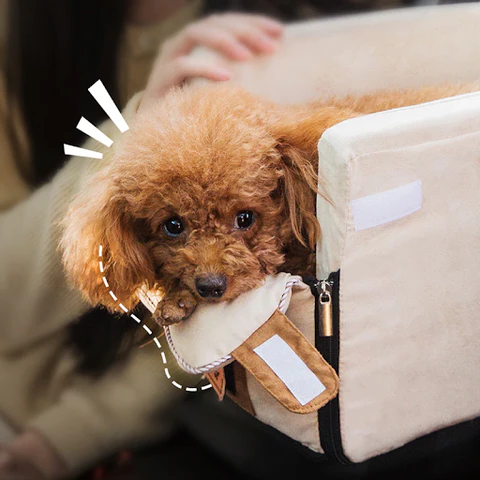 Pet Armrest Safety Seat - Pet Car Seat Travel Bag Suitable for Small Dogs and Cats image 5