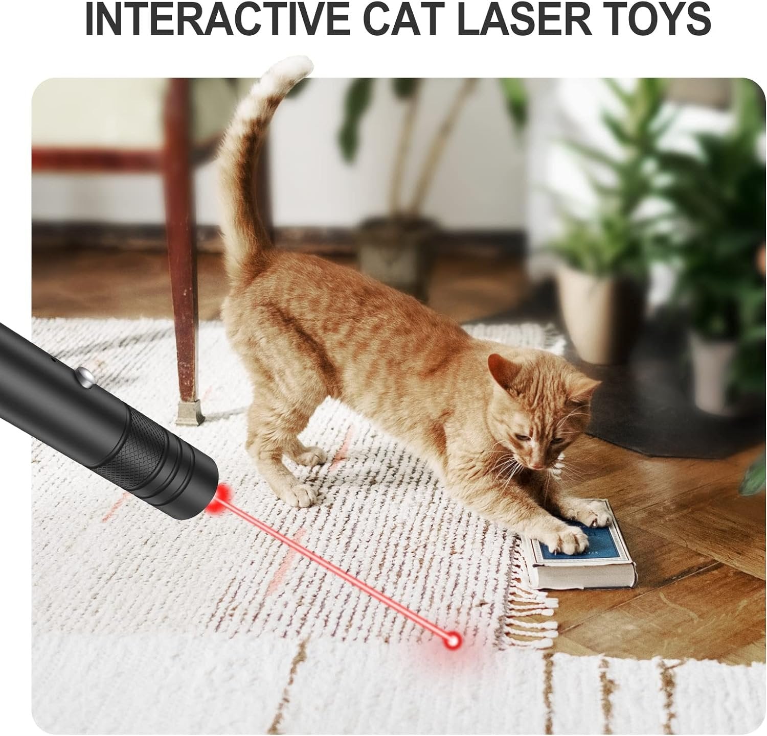 Long Range Green Laser Pointer High power image 5