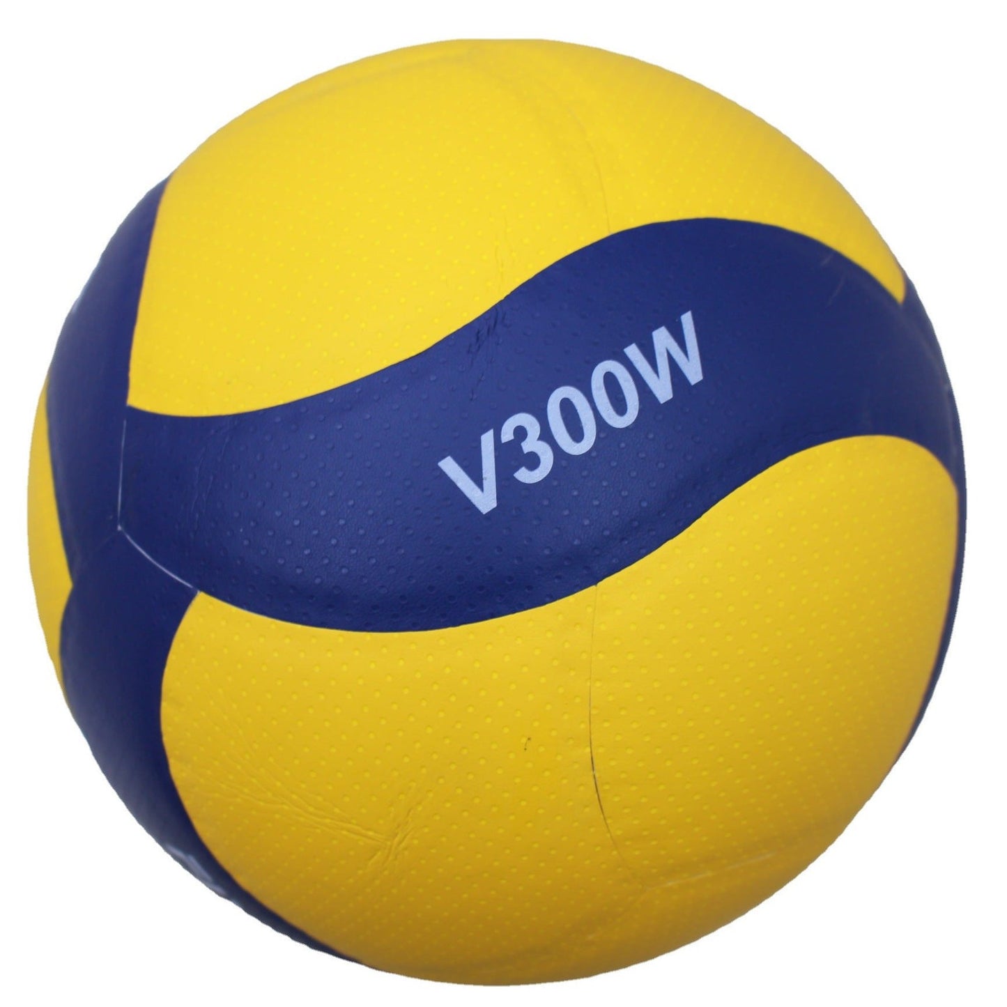 Outdoor And Indoor Volleyball Training image 2