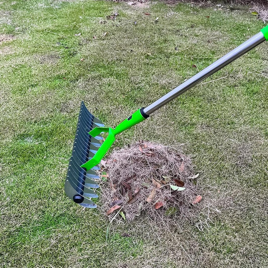 Long Reach Thatch Rake for Dethatching Dead Grass image 0