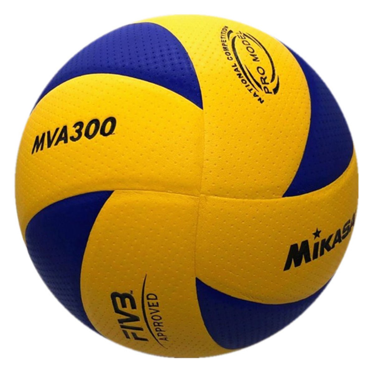 Outdoor And Indoor Volleyball Training image 4