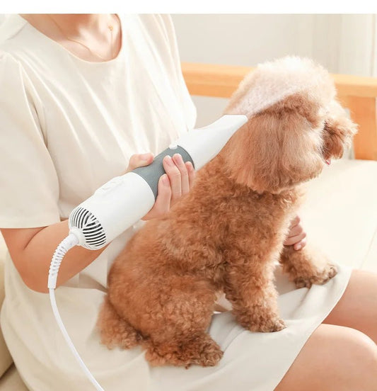 3-in-1 Dog Hair Dryer and Grooming Brush image 0