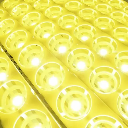 Premium Egg Incubator Automatic Chicken Quail Egg Hatcher 24 Eggs image 2