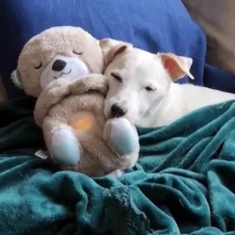 Calming Otter Plush image 4