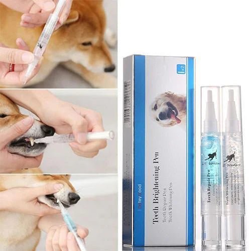 Pet's Teeth Health By Repairing and Preventing Disease image 2