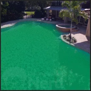 GIF 2 171201d3 222b 44f7 80a8 940be34e820a 480x480 1