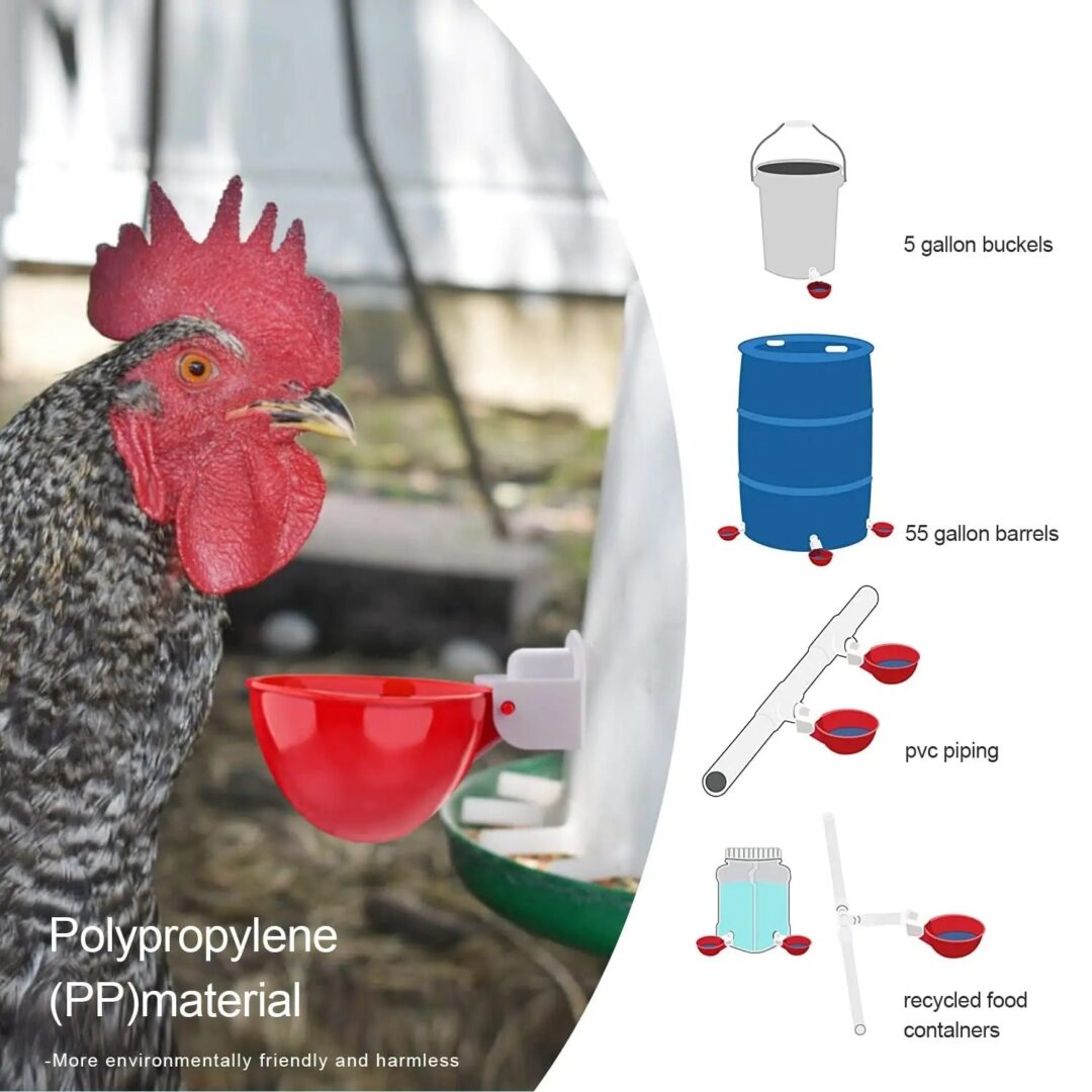 10 Pcs Chicken Waterer - Image 2