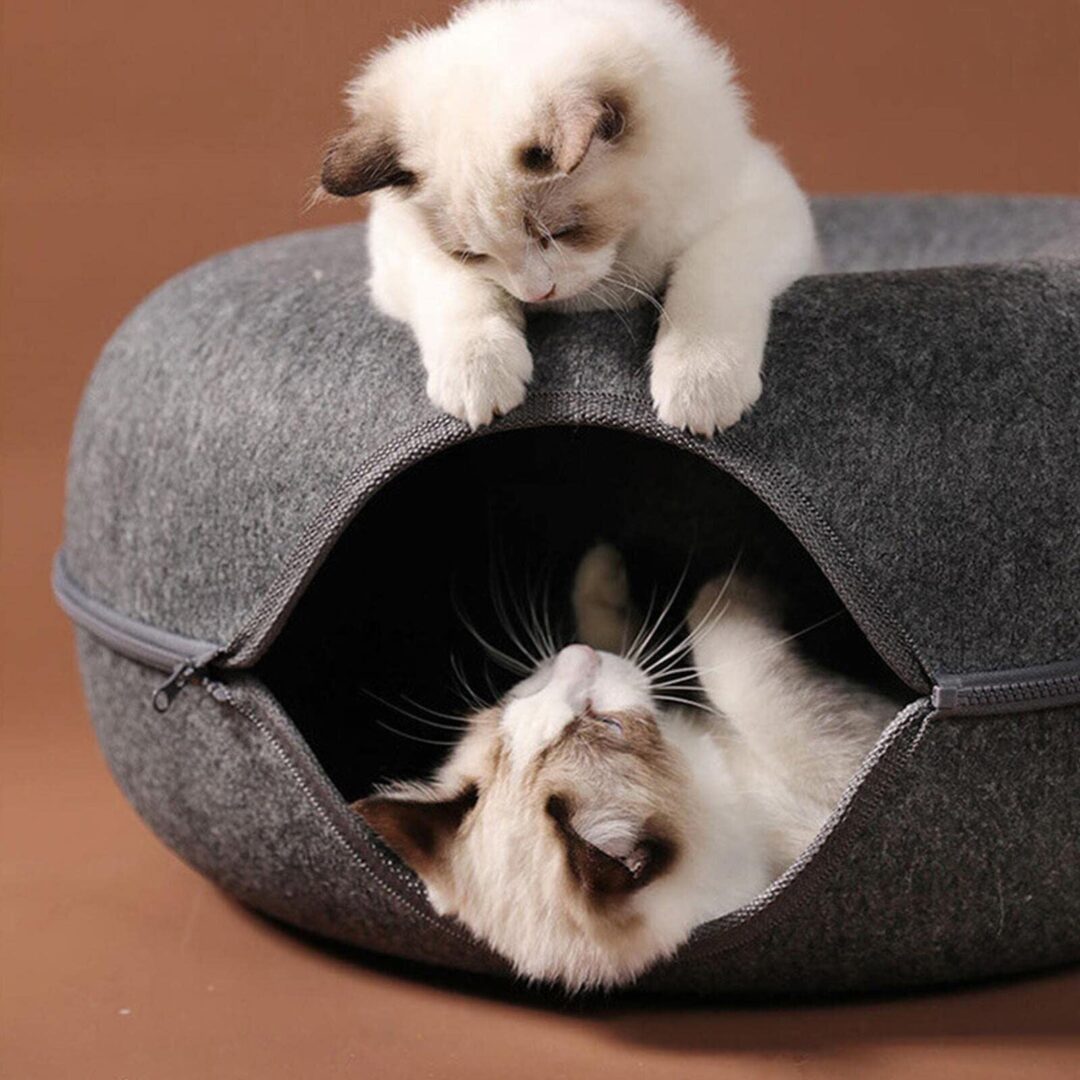 Tunnel Interactive Cat Bed - Image 3