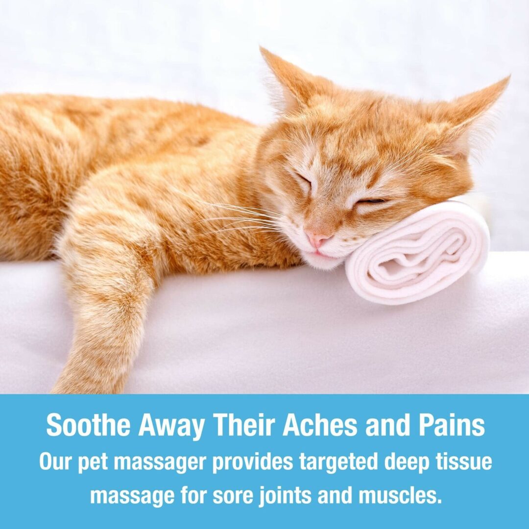 Pet Massager - Image 4