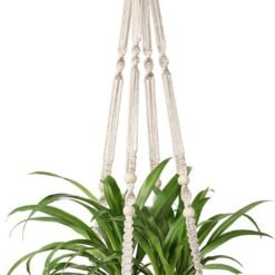 Indoor Hanging Planter Pot