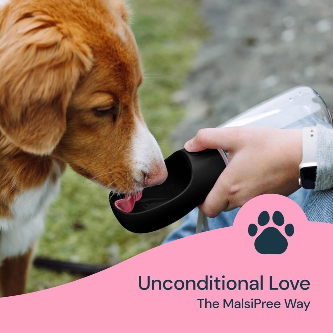 19 oz portable water bottle for dogs - Image 5
