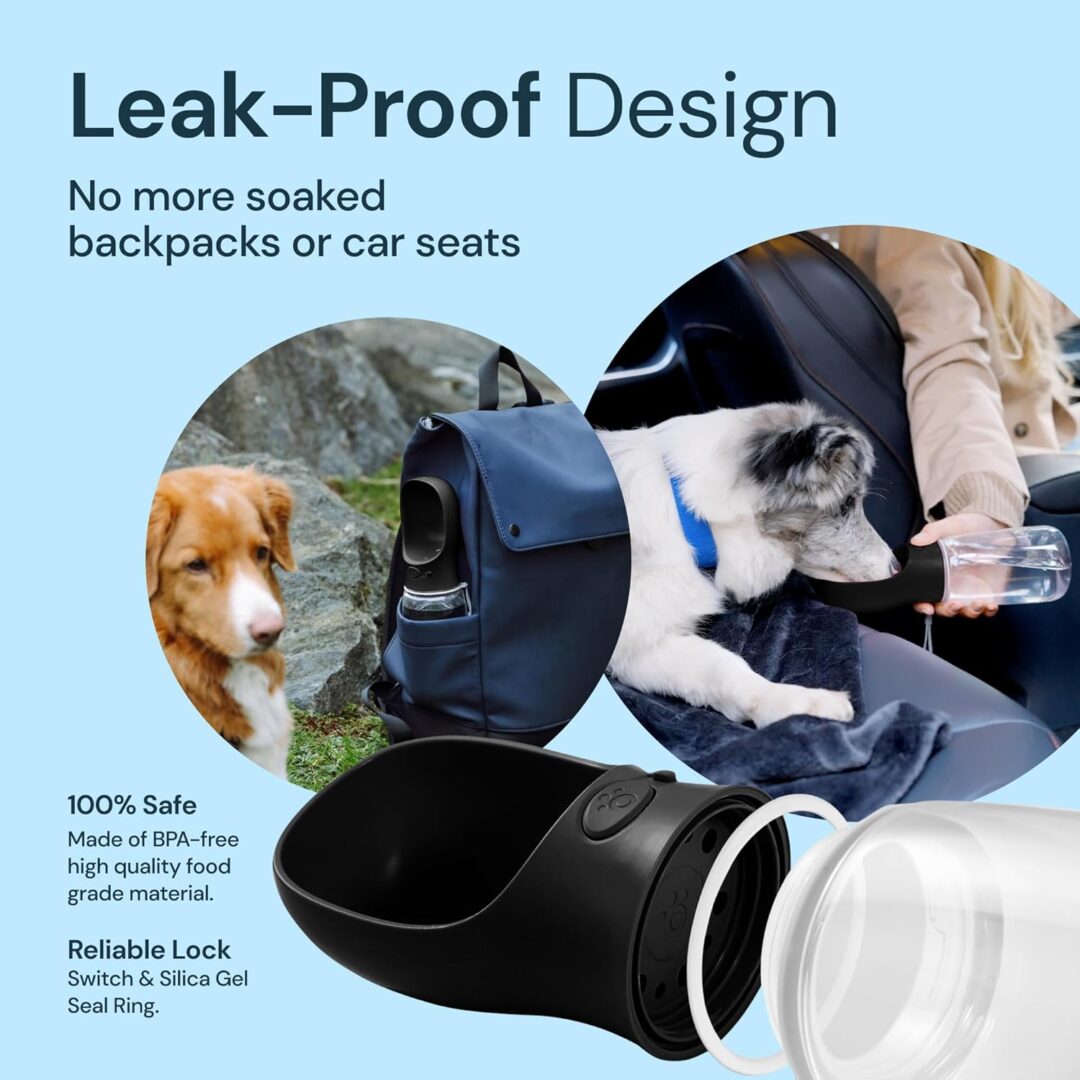 19 oz portable water bottle for dogs - Image 2
