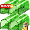 4-Pack Mouse Trap