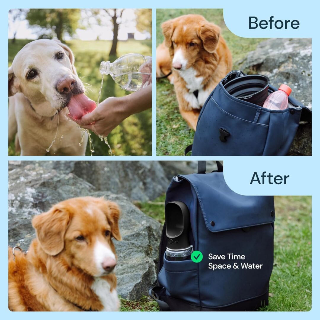 19 oz portable water bottle for dogs - Image 6