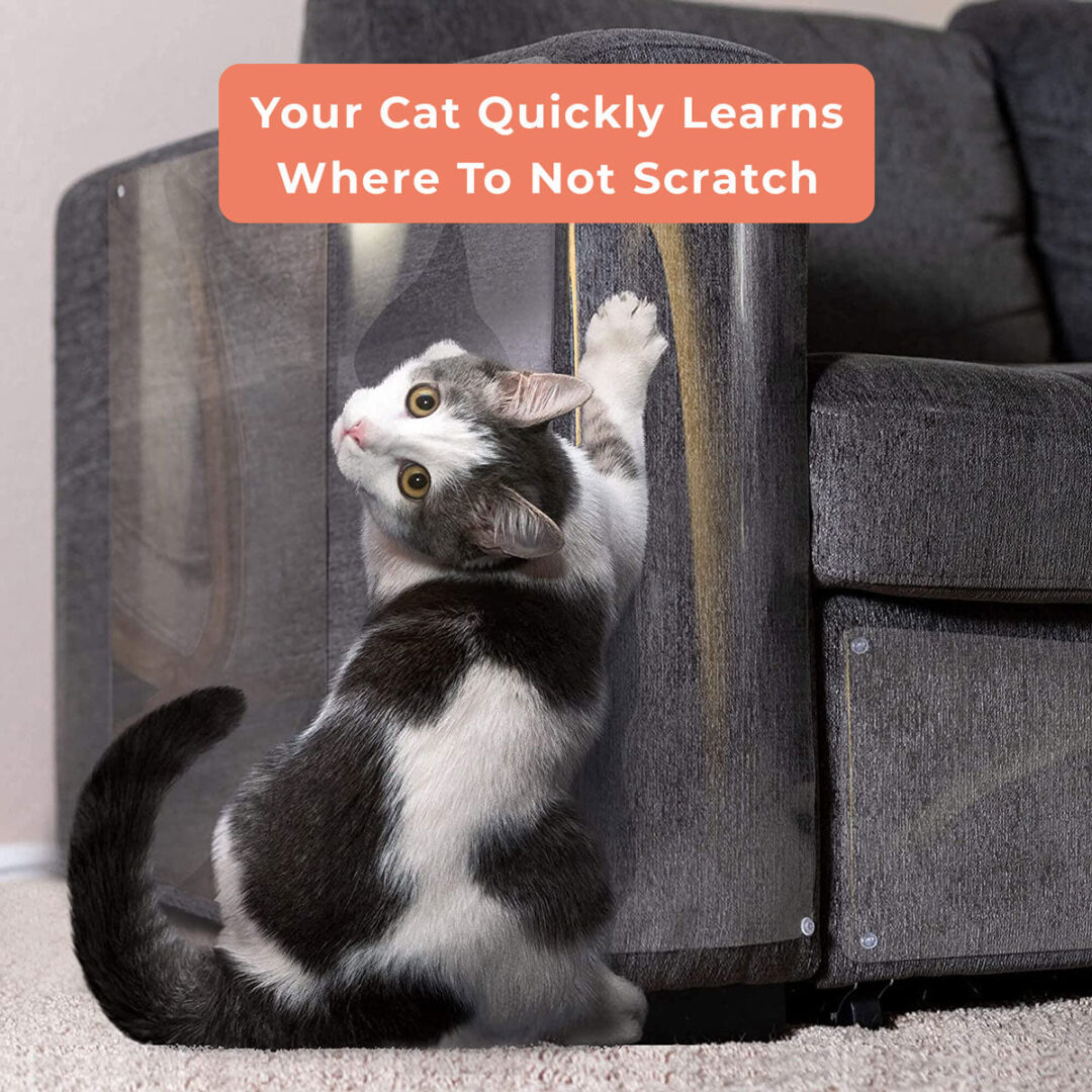 Feline Furniture Guard - Image 6