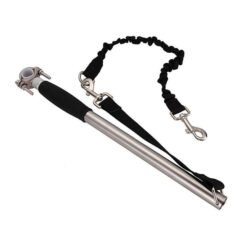 B13 39f41995 2ad9 4df3 8557 f462365a4c3e