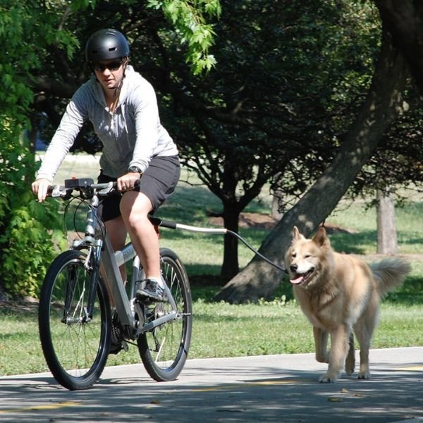 Dog Bike Harness - Image 9