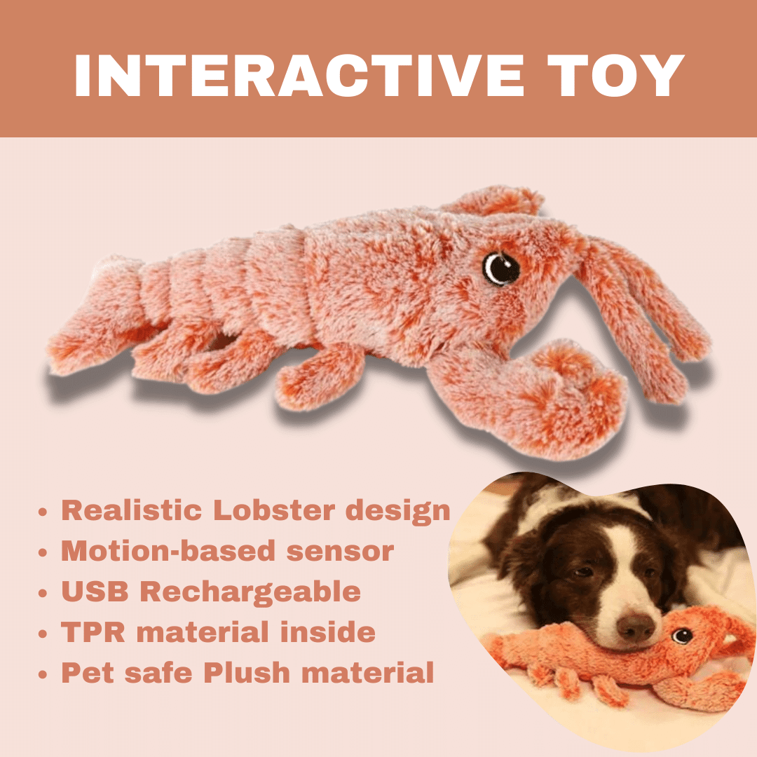 Floppy Lobster Interactive Dog Toy - Image 6