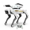 RC Robot Dog