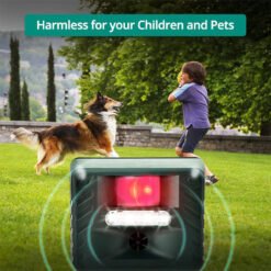 Image8 22b4f69c 215b 423f b712 5a33347385bc