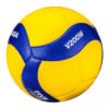 Outdoor And Indoor Volleyball Training