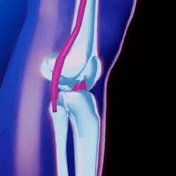 Untitled Video 540x 1 540x bf288519 ae60 4305 9d9c e55e6e2cc82b