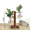 Wooden Frame Hydroponic Plant Vase