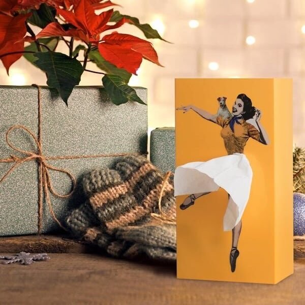 Flying Skirt Tissue Box - Image 6
