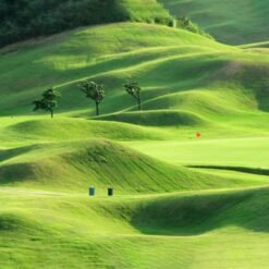 download 3 result 33979bba 9d4d 4a65 9efe 96c7820fdf01