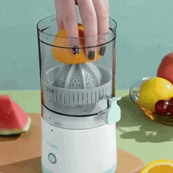 image 454 1725922818941 75618958 72930416 7929410 0