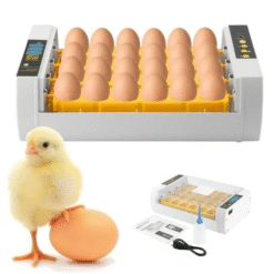 output onlineimagetools 11 f0a7566f 8c2c 4a4e 823d 032f2ab0d748