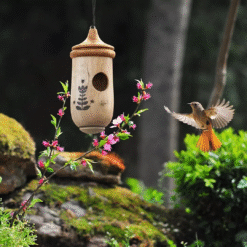 output onlineimagetools 12